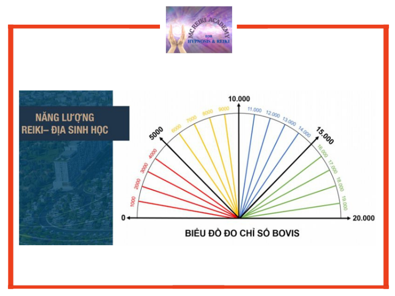 Biểu đồ đo chỉ số Bovis